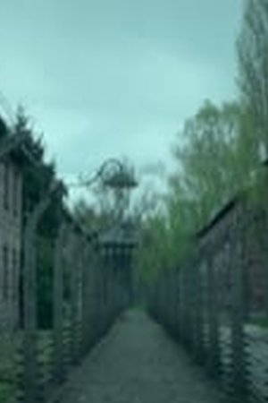 Hitler and the Nazis: Evil on Trial Season 1 Episode 5 - Poster