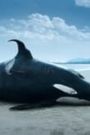 The Swarm Season 1 Episode 1 - Poster