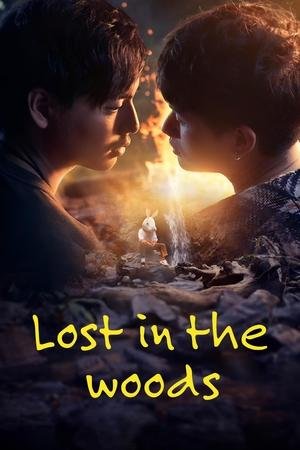 Lost in the Woods (2025) - Poster