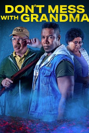Don't Mess with Grandma (2024) - Poster