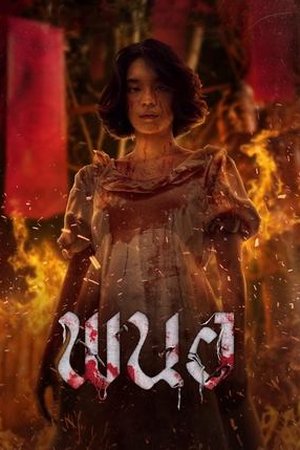 Panor (2025) - Poster