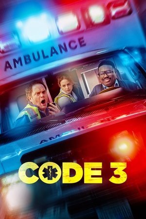 Code 3 (2025) - Poster